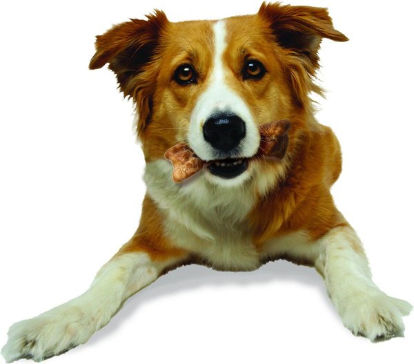 Show full view: Nylabone Healthy Edibles Wild Natural Long Lasting Bison Flavour Medium Chew Dog Treats, 2 count slide 9 of 12