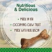Show in main carousel: Nylabone Healthy Edibles Wild Natural Long Lasting Small Bison Flavour Small Chew Dog Treats, 8 count slide 2 of 11