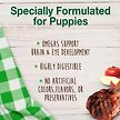 Show in main carousel: Nylabone Healthy Edibles Long Lasting Puppy Lamb & Apple Flavour Small Breed Bone Dog Treats, 3 count slide 3 of 10