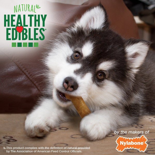 Show full view: Nylabone Healthy Edibles Long Lasting Puppy Lamb & Apple Flavour Small Breed Bone Dog Treats, 3 count slide 5 of 10