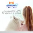 Show in main carousel: Nylabone Advanced Oral Care Original Flavor Dog Dental Kit slide 8 of 10