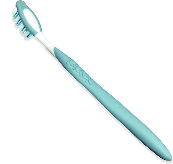 Show full view: Nylabone Advanced Oral Care Original Flavor Dog Dental Kit slide 9 of 10