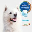 Show in main carousel: Nylabone Advanced Oral Care Natural Peanut Flavor Dog Dental Kit slide 4 of 10