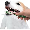 Show in main carousel: Nylabone Advanced Oral Care Natural Peanut Flavor Dog Dental Kit slide 9 of 10