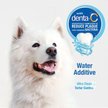 Show in main carousel: Nylabone Advanced Oral Care Dog Dental Water Additive, 32-oz bottle slide 4 of 10