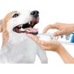 Show in main carousel: Nylabone Advanced Oral Care Dog Dental Foam, 3-oz bottle slide 8 of 10