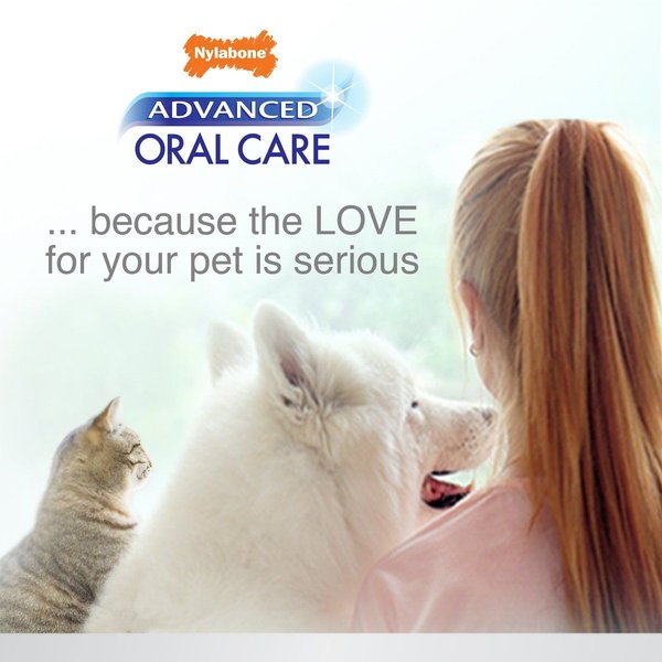 Show full view: Nylabone Advanced Oral Care Original Flavor Cat Dental Kit slide 7 of 10