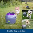 Show in main carousel: PetSafe Automatic Ball Launcher Dog Toy slide 6 of 9