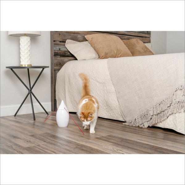 Show full view: PetSafe Zoom Automatic Laser Light Dog Toy slide 4 of 7