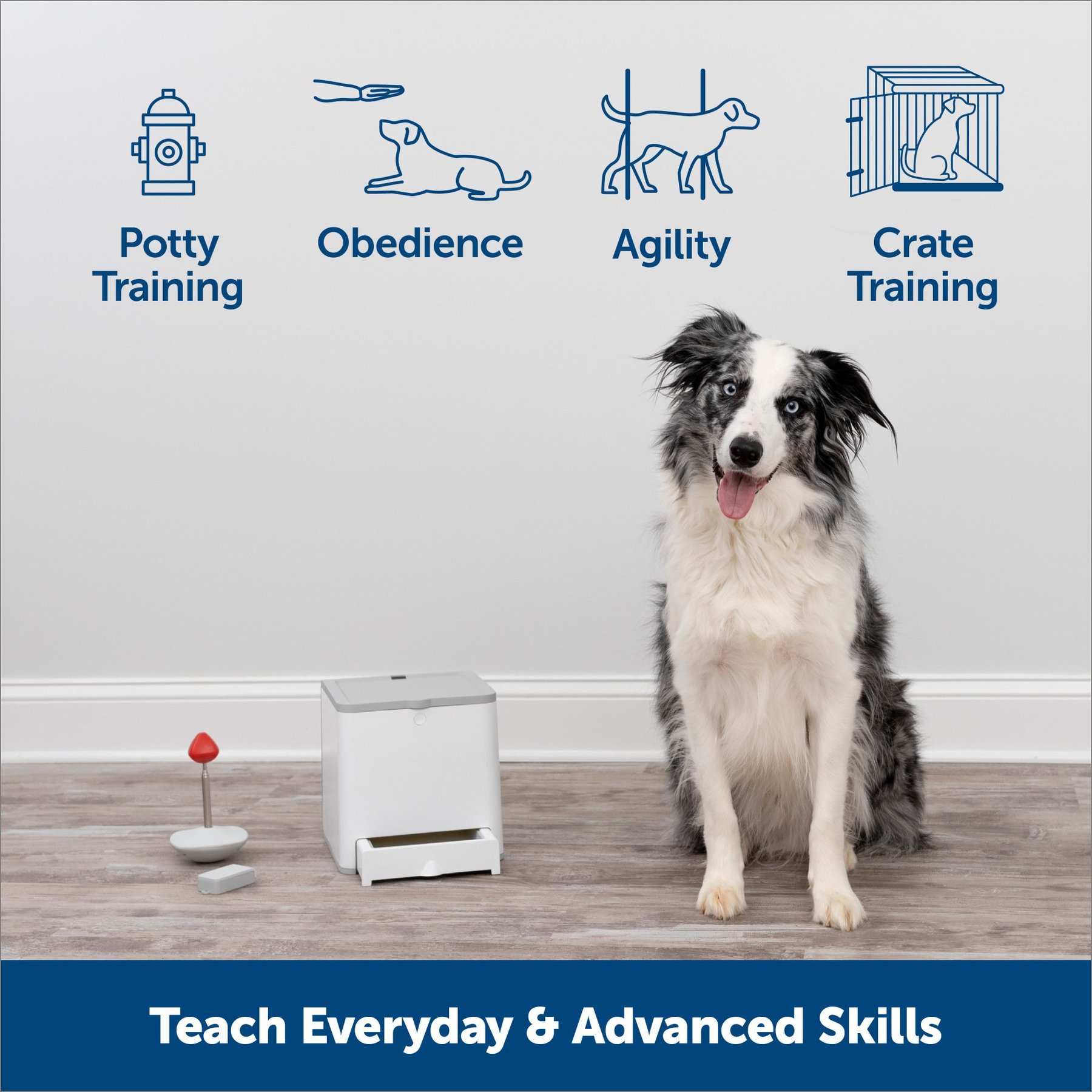 PETSAFE Teach & Treat Remote Reward Trainer Dog Toy - Chewy.com