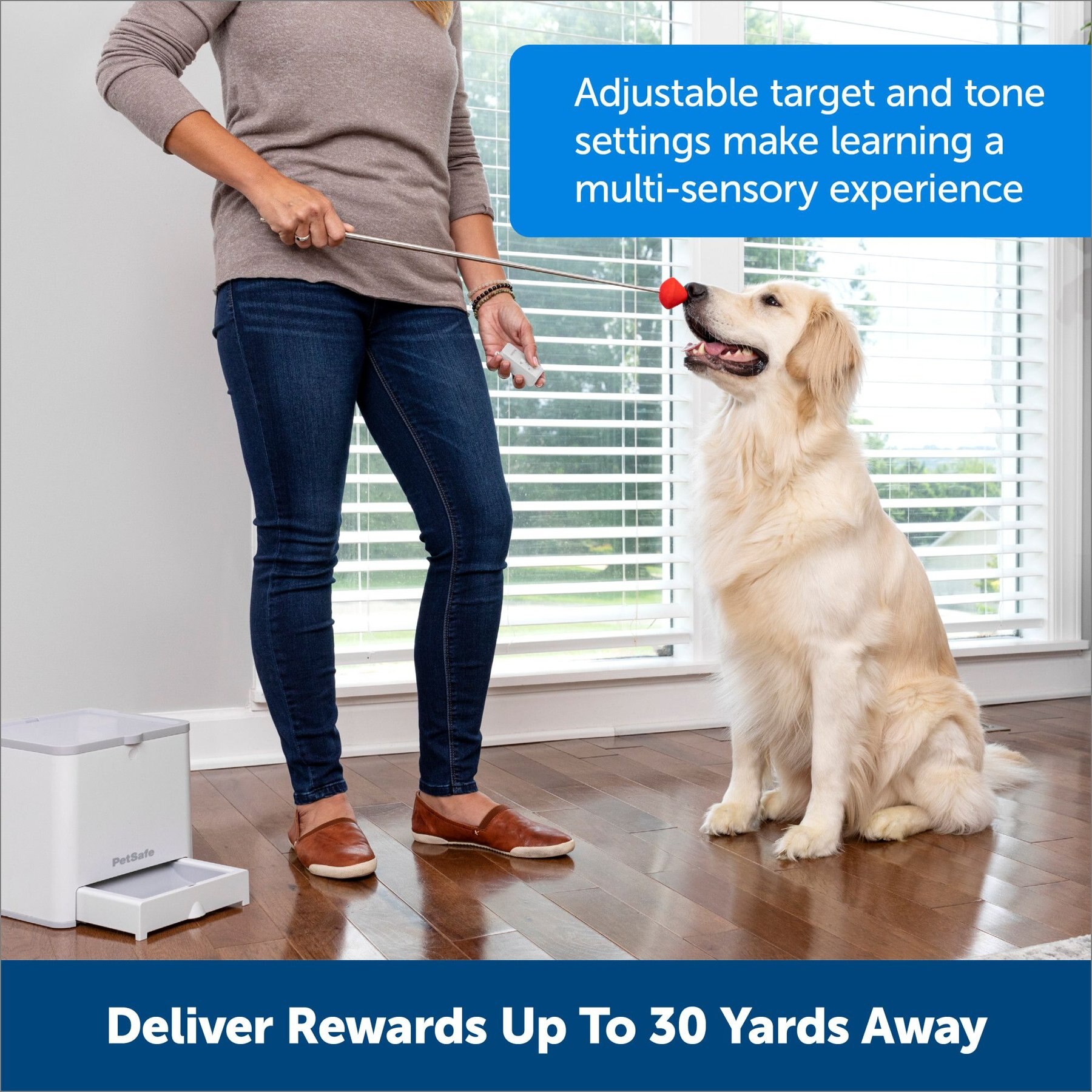 PETSAFE Teach & Treat Remote Reward Trainer Dog Toy - Chewy.com