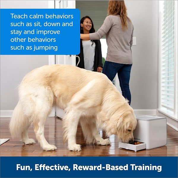 Show full view: PetSafe Teach & Treat Remote Reward Trainer Dog Toy slide 6 of 10