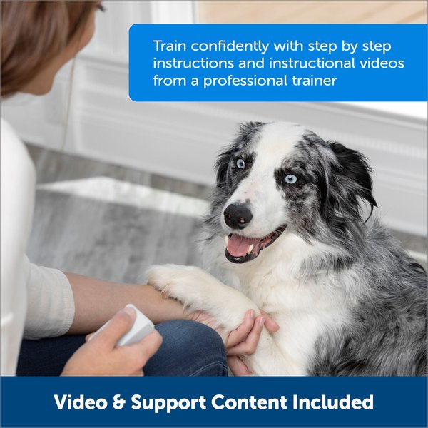 Show full view: PetSafe Teach & Treat Remote Reward Trainer Dog Toy slide 7 of 10