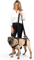 PetSafe CareLift Handicapped Support Dog Harness, Medium