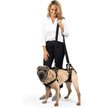 Show in main carousel: PetSafe CareLift Handicapped Support Dog Harness, Medium slide 1 of 9