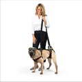 PetSafe CareLift Handicapped Support Dog Harness, Medium