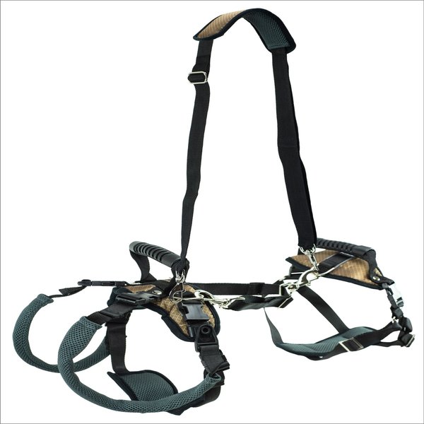 Show full view: PetSafe CareLift Handicapped Support Dog Harness, Medium slide 3 of 9