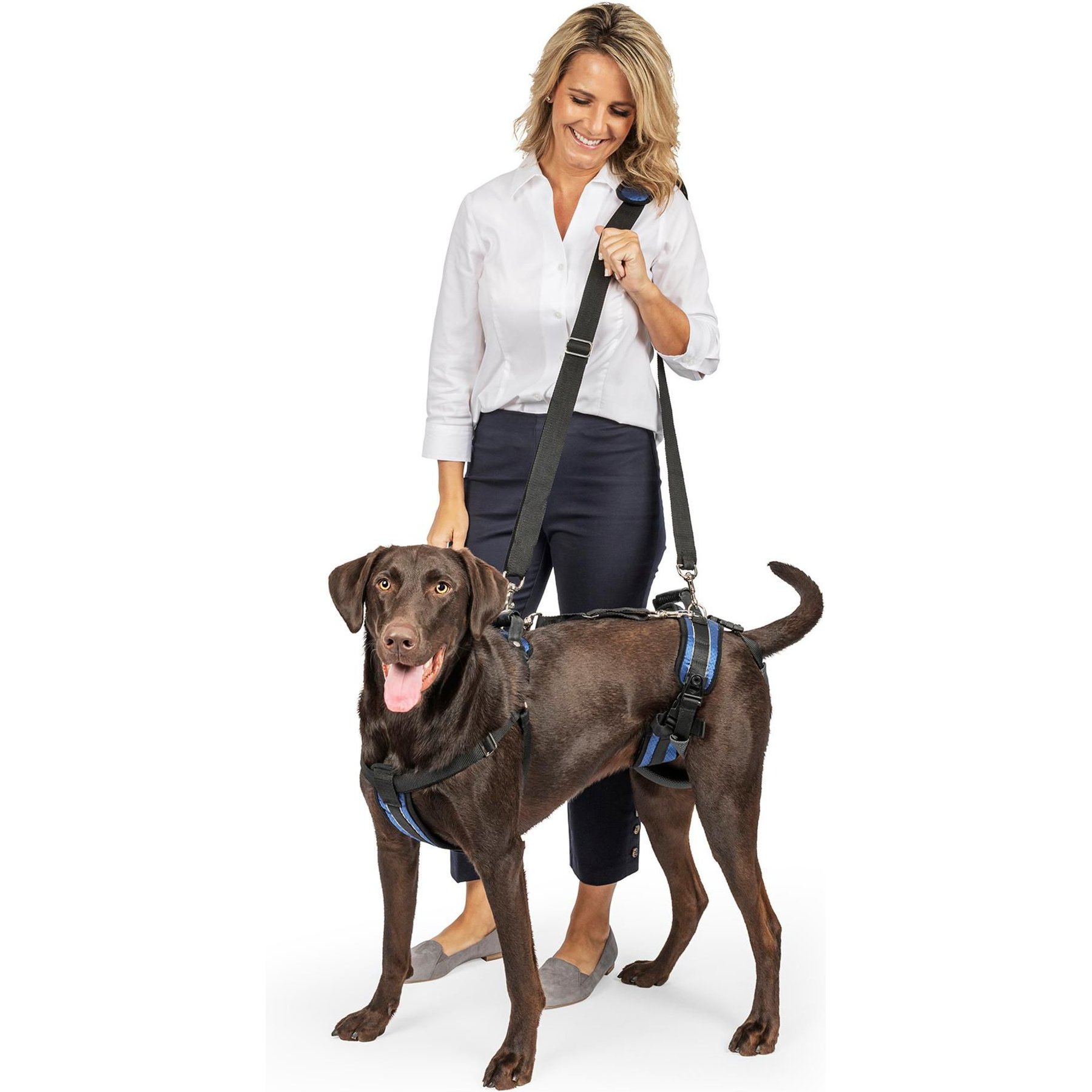 PetSafe CareLift Handicapped Support Dog Harness