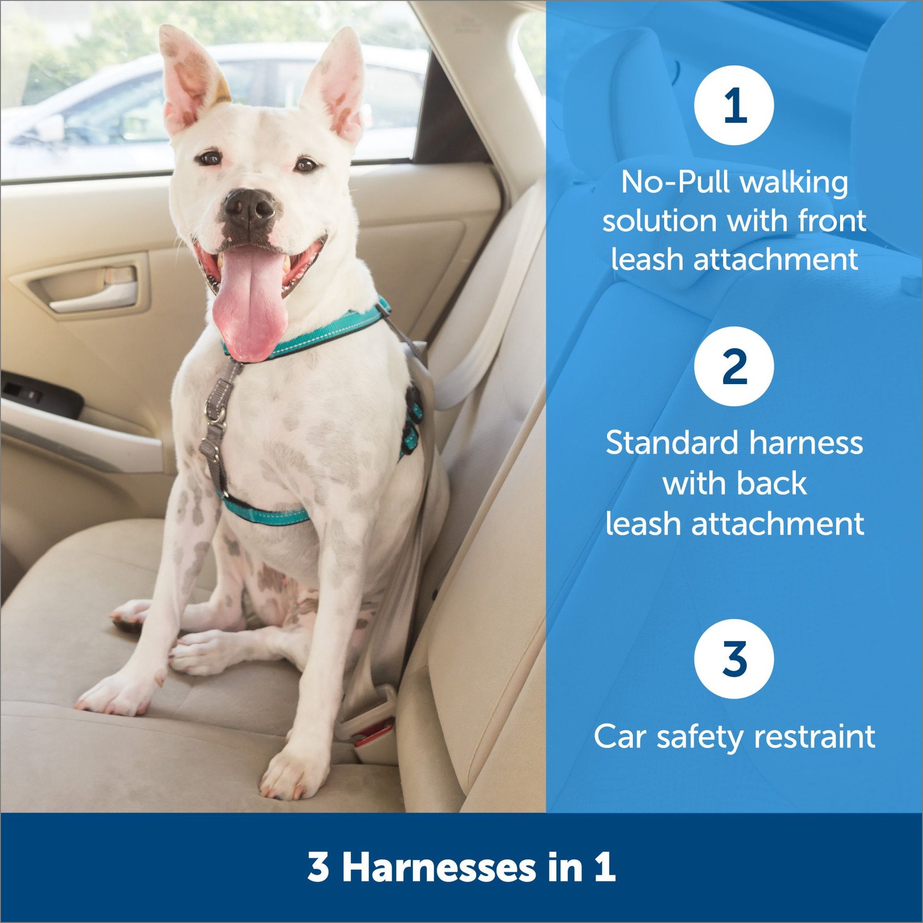 Pet safe car harness best sale