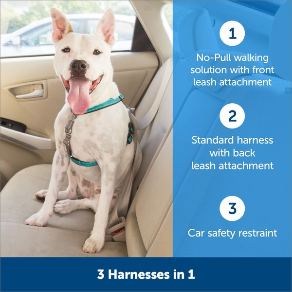 Show full view: PetSafe 3-in-1 Reflective No Pull Dog Harness with Car Control Strap, Small: 19 to 24-in chest slide 3 of 11