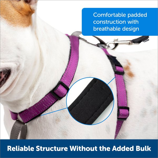 Show full view: PetSafe 3-in-1 Reflective No Pull Dog Harness with Car Control Strap, Small: 19 to 24-in chest slide 5 of 11