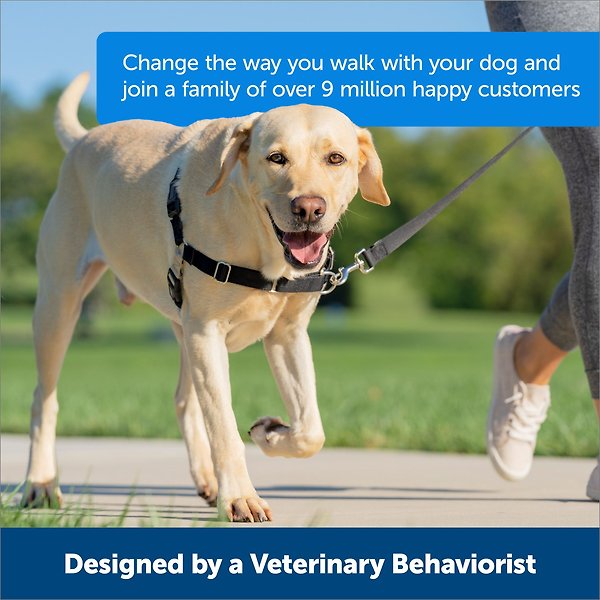 Show full view: PetSafe Easy Walk No Pull Dog Harness, Black, Medium slide 3 of 10