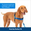 Show in main carousel: PetSafe Easy Walk No Pull Dog Harness, Black, Medium slide 5 of 10