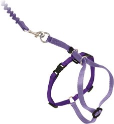 PetSafe Come with Me Kitty Nylon Cat Harness & Bungee Leash, Large: 13 to 18-in chest