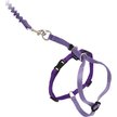Show in main carousel: PetSafe Come with Me Kitty Nylon Cat Harness & Bungee Leash, Large: 13 to 18-in chest slide 1 of 9