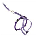 PetSafe Come with Me Kitty Nylon Cat Harness & Bungee Leash, Large: 13 to 18-in chest