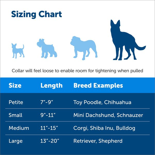 Show full view: PetSafe Quick Snap Buckle Nylon Martingale Dog Collar, Deep Purple, Large: 33 to 50-cm neck, 2.5-cm wide slide 4 of 7