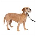 PetSafe Easy Walk Dog Headcollar, Small