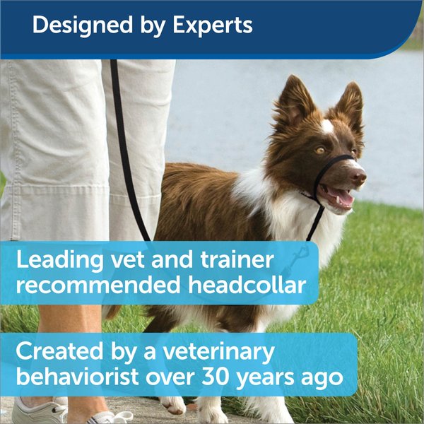 Show full view: PetSafe Easy Walk No Pull Dog Headcollar, Small slide 3 of 7