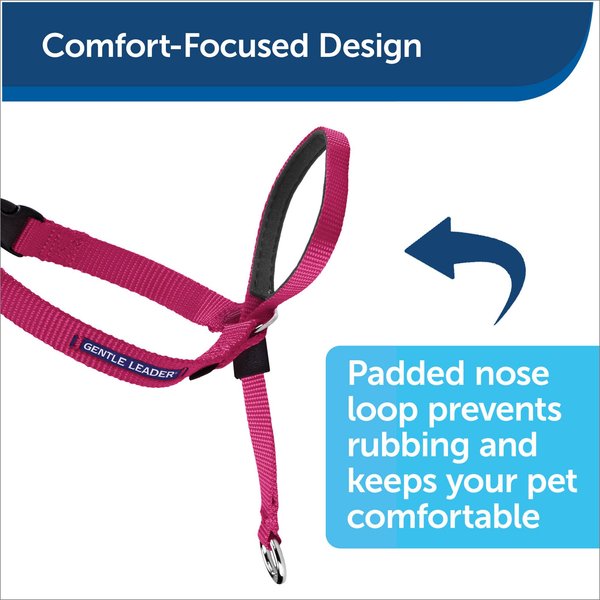 Show full view: PetSafe Easy Walk No Pull Dog Headcollar, Small slide 4 of 7