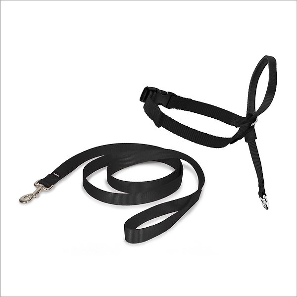 Show full view: PetSafe Easy Walk No Pull Dog Headcollar, Small slide 6 of 7