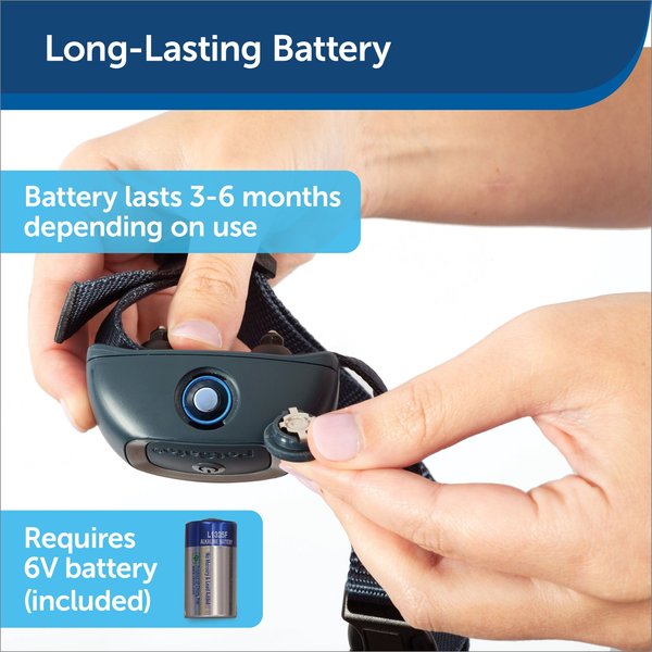 Show full view: PetSafe Waterproof Basic Static Training Dog Collar slide 5 of 8