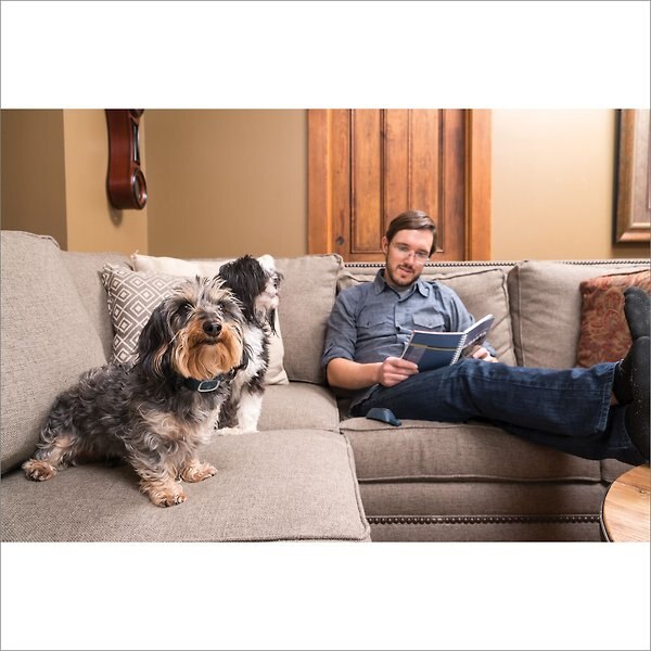 Show full view: PetSafe Remote Training Dog Collar, 300-m, Lite slide 3 of 7