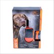 Show in main carousel: SportDOG SportTrainer 575E Remote Training Dog Collar slide 8 of 9