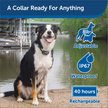 Show in main carousel: PetSafe Add-A-Dog Waterproof Extra Receiver Dog Collar slide 3 of 11