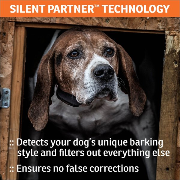 Show full view: SportDOG NoBark SBC-R Waterproof Rechargeable Training Dog Collar slide 4 of 8