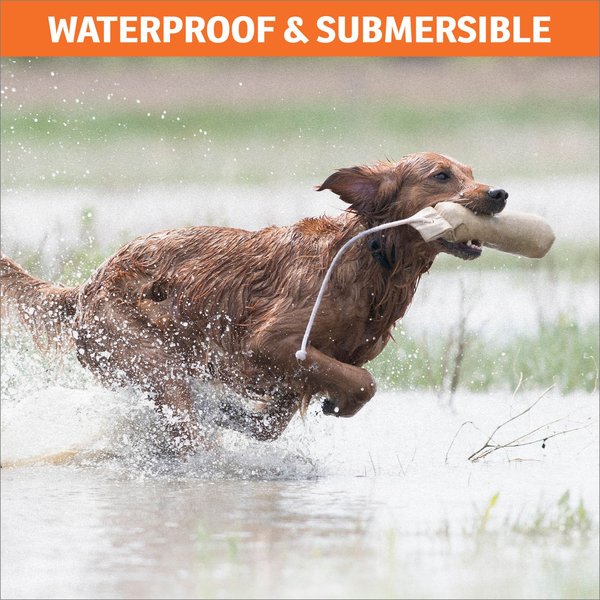 Show full view: SportDOG NoBark SBC-R Waterproof Rechargeable Training Dog Collar slide 5 of 8