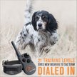 Show in main carousel: SportDOG FieldTrainer 425X Remote Training Dog Collar slide 2 of 9