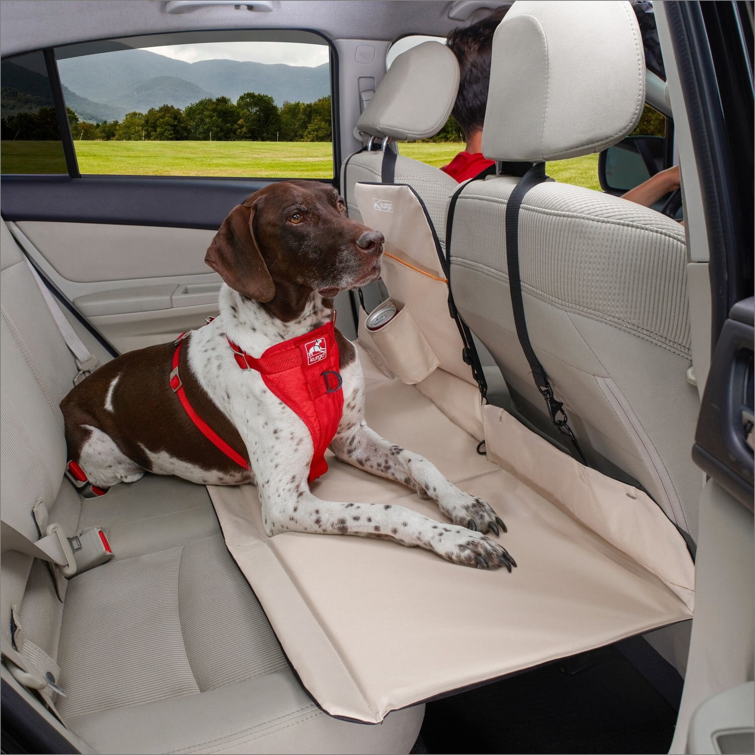 Kurgo backseat clearance barrier