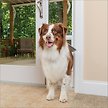 Show in main carousel: PetSafe 96-in Sliding Glass Dog & Cat Door, Large slide 1 of 10