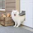 Show in main carousel: PetSafe Aluminum Extreme Weather Dog & Cat Door, Medium slide 2 of 10
