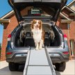 Show in main carousel: PetSafe Happy Ride Telescoping Dog Car Ramp, Regular slide 1 of 7