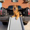 Show in main carousel: PetSafe Happy Ride Telescoping Dog Car Ramp, X-Large slide 1 of 7
