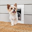 Show in main carousel: PetSafe Wall Entry Dual Flap Dog & Cat Door with Closing Panel, Small slide 1 of 8