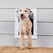 Show in main carousel: PetSafe Wall Entry Dual Flap Dog & Cat Door with Closing Panel, Medium slide 1 of 8