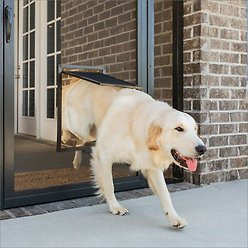 PetSafe Window & Porch Screen Dog & Cat Door